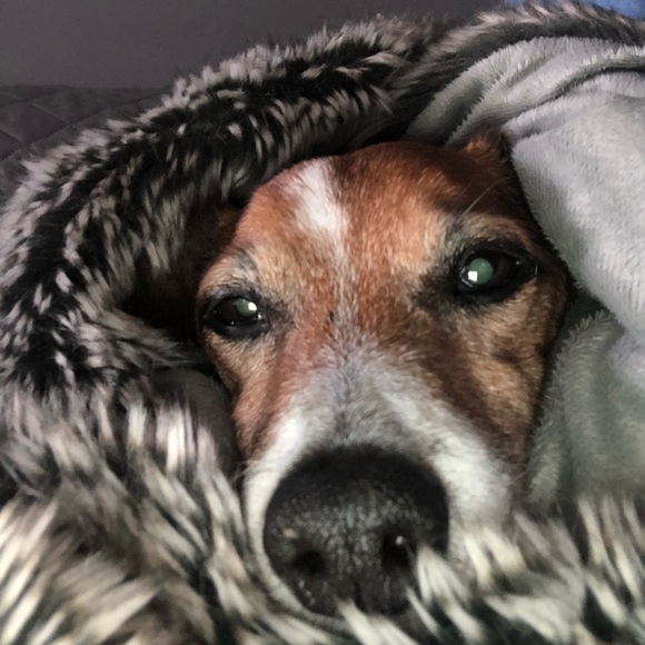 Meet your Posher, Ashley - Picture 1 of 1